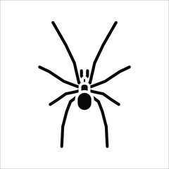 spider icon. arachnid vector. animals sign. vector illustration