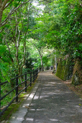 静岡伊豆の河津七滝