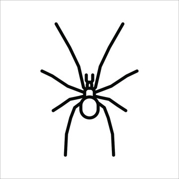spider icon. arachnid vector. animals sign. vector illustration