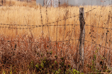 Agricultural damaged wire fencing. Selective focus.