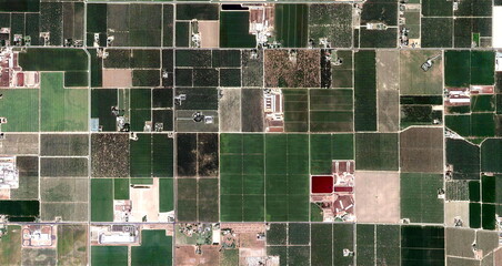 the texas massacre, United States, abstract photography of relief drawings in  fields in the U.S.A....