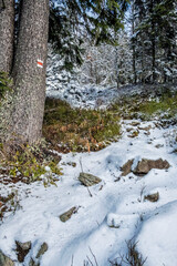 Footpath in Low Tatras mountains, Slovakia, winter scene