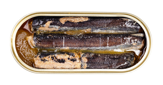 smoked saury fishes in tin can isolated on white background