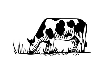 Rural landscape with a dairy cow grazing in the meadow. Cattle eat grass, udders full of milk. Vector sketch in cartoon style for icons, logos, prints. Isolated illustration on white background