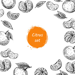 Vector template with collection of citrus exotic summer fruits - tangerine, orange with leaves and branches. Illustration in sketch style with place for text. For decorating recipes, menu or printing