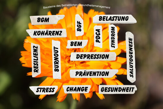 Die Bausteine des Betrieblichen Gesundheitsmanagements