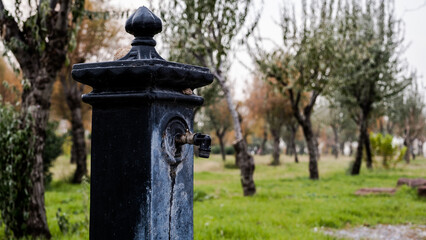 fountain in the park