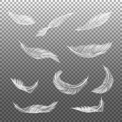 Set of isolated falling white fluffy twirled feathers. Birds plumage, falling fluffy twirled feather, flying angel wings feathers. Realistic isolated vector easy
