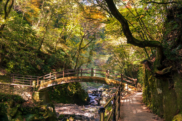 秋の天岩戸神社と岩戸川の爽やかな渓谷