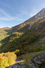 Upright photography of a autumn woods at mountain ridge of Pyrenee mountain in France