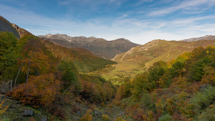 A autumn forest valley in Pyrenee mountain range, under blue cloud sky  France
