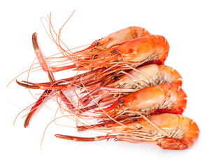 Grilled shrimp isolated on white background top view