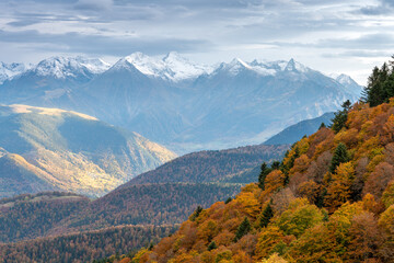 Beutiful snow cap mountain range of pyrenee with autumn woods in foreground, France