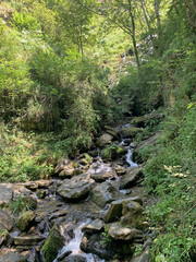 Fototapeta premium Creek near Holzarte bridge