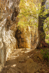 The mountainous area is an area for recreation and travel on a Sunny summer day.