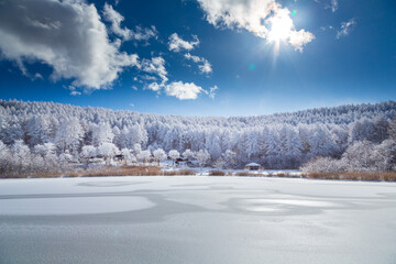 Fototapeta premium 雪の長野県聖高原中牧湖の霧氷