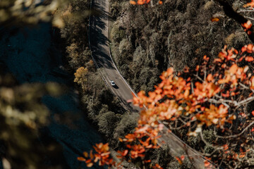 A pickup car moves on an asphalt road among the mountains. Around the autumn trees, yellow leaves, Autumn. Top view