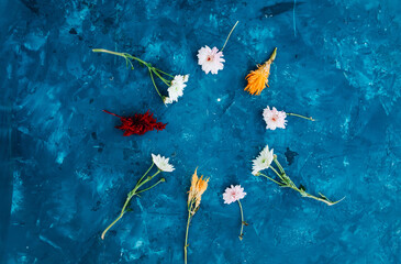 Fototapeta na wymiar Dried autumn flowers on a blue background