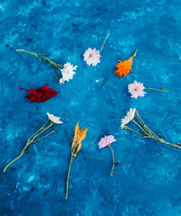 Fototapeta na wymiar Dried autumn flowers on a blue background