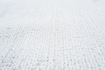Snow-covered grid. The lattice fence is covered with fresh snow. Winter background texture. White background texture