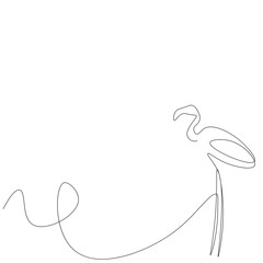 Flamingo bird line drawing on white background, vector illustration