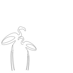Obraz na płótnie Canvas Flamingo bird line drawing on white background, vector illustration