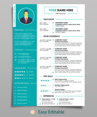 Modern Clean CV Resume Template with Cyan Accent