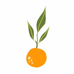 Mandarin branch. Exotic tropical orange citrus fresh fruit, whole juicy tangerine with green leaves vector cartoon minimalistic style isolated illustration, print or banner, label or poster, sticker