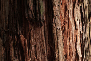 wood texture