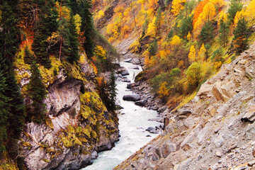 The magical colors of autumn in the forest of Svaneti
