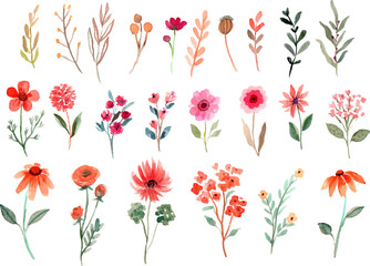 Watercolor Wildflowers Element Vector Collection
