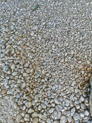 rocas