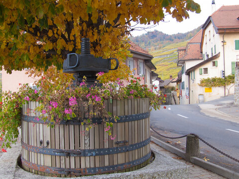 terrasse de lavaux,epesses,vaud,suisse