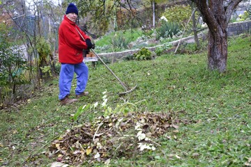 A pile of autumn fallen leaves in yellow and a farmer with rakes