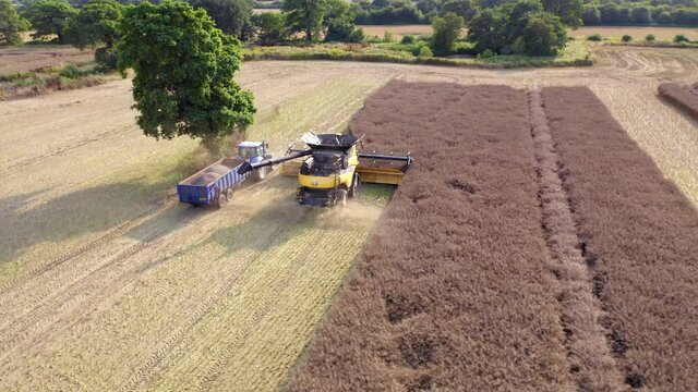 Stunning evening sunset showing a tractor and combined harvester working the corn fields in the UK summer. 
Drone footage with parallax towards the end. 

4K 10 bit 25FPS D LOG rendered to REC709