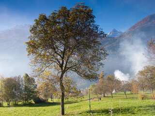 La Salle, Val d?Aosta, Italy