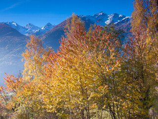 Arbetey, La Salle, Val d?Aosta, Italy