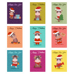 A set of new year's cards 2021 with the image of a cute bull. Vector graphics.