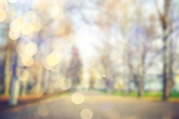 blurred background autumn forest, abstract art sunny autumn park, glow yellow october view