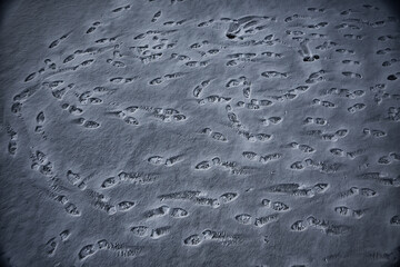 tracks asphalt snow, ice, people’s tracks from shoes on snow, snow removal weather