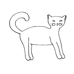 Cat, vector illustration, doodle, hand drawing