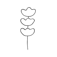 Lavender sprig, vector doodle illustration, hand drawing
