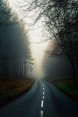 road in the fog