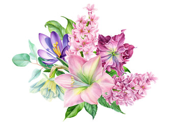 Fototapeta na wymiar bouquet of watercolor flowers, tulip, hyacinth, ranunculus on a white background, spring, botanical illustration