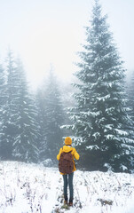 Rear view of woman bakpaker walking in winter snowy forest landscape, concept activity and adventure outdoors
