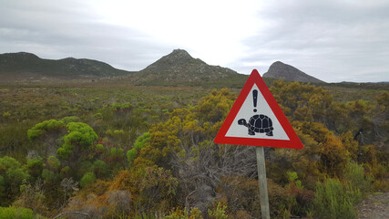 Turtle road sign in South Africa