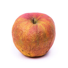 Old spoiled apple isolated