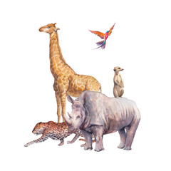 Watercolor savannah animals illustration. Hand drawn group of animals isolated on white background. African fauna: giraffe, zebra, meerkat, leopard, rhino