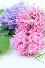 ハートフレーム キキョウ カンパニュラ サフィニアの紫色の花束 Wall Mural Hanaphoto