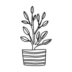Hand drawn houseplants. Vector illustration of potted plants for home isolated on white background
